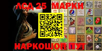 Альфа ПВП Моздок