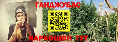 кокс Можайск