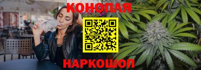 Альфа ПВП Моздок