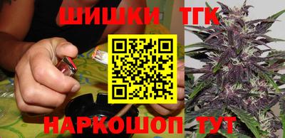 Альфа ПВП Моздок
