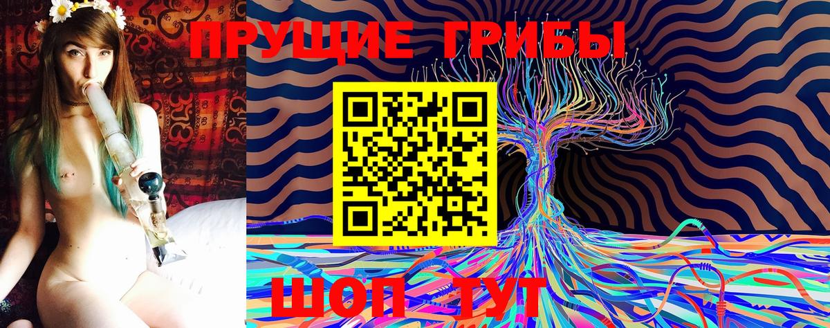 Псилоцибиновые грибы Cubensis  Вход с VPN  Ялуторовск 