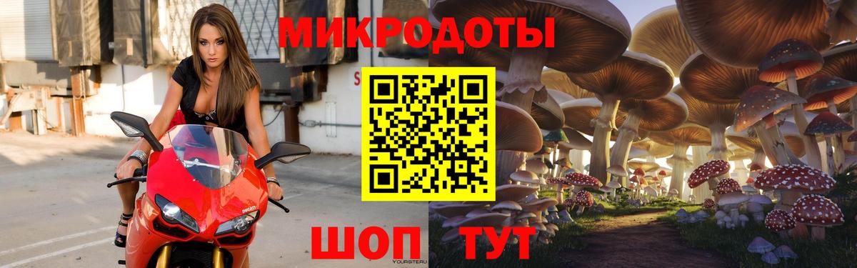 Псилоцибиновые грибы Psilocybine cubensis Ялуторовск